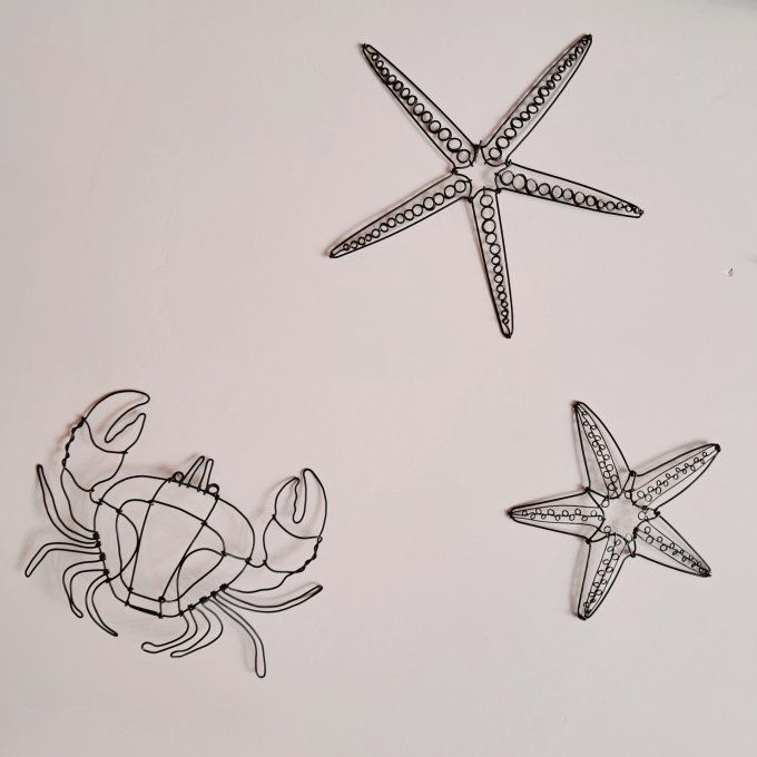 Grande étoile de mer 