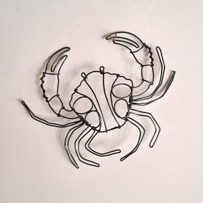 Petit crabe 