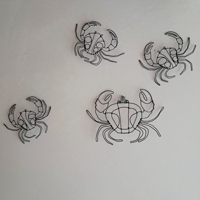 Grand crabe 