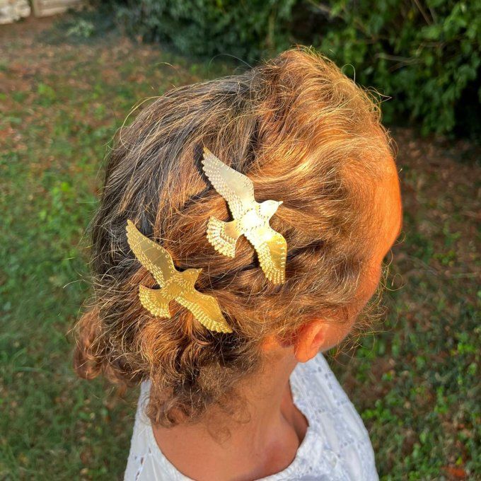 Barrette Colombe