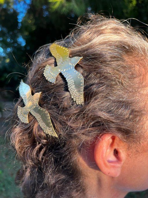 Barrette Colombe