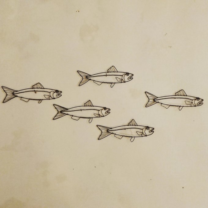 Sardine 